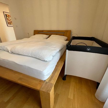 Penthouse Wohnung Am Radweg Mit Dachterasse Waidhofen an der Thaya Exteriér fotografie